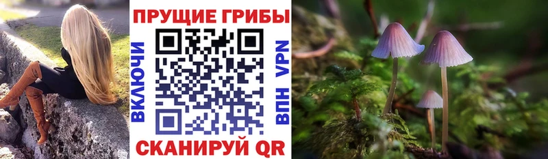 Галлюциногенные грибы ЛСД  что такое   Барыш 